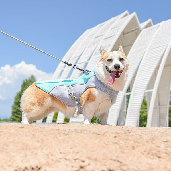 HKM-8960573 Cool Polyester Dog Clothing in Multiple Colors and Sizes