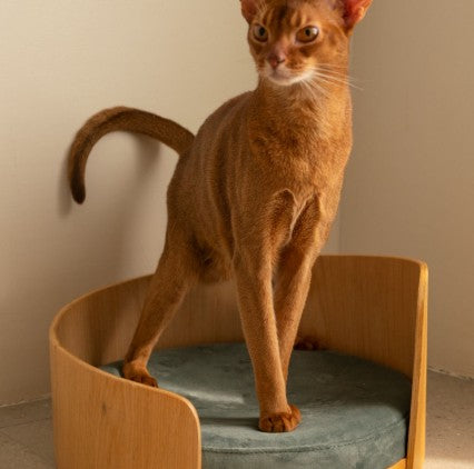 HKM-8962237 Solid Wood Cat Bed ¨C Removable Nest in Walnut Finish, 35x24cm & 50x24cm Sizes