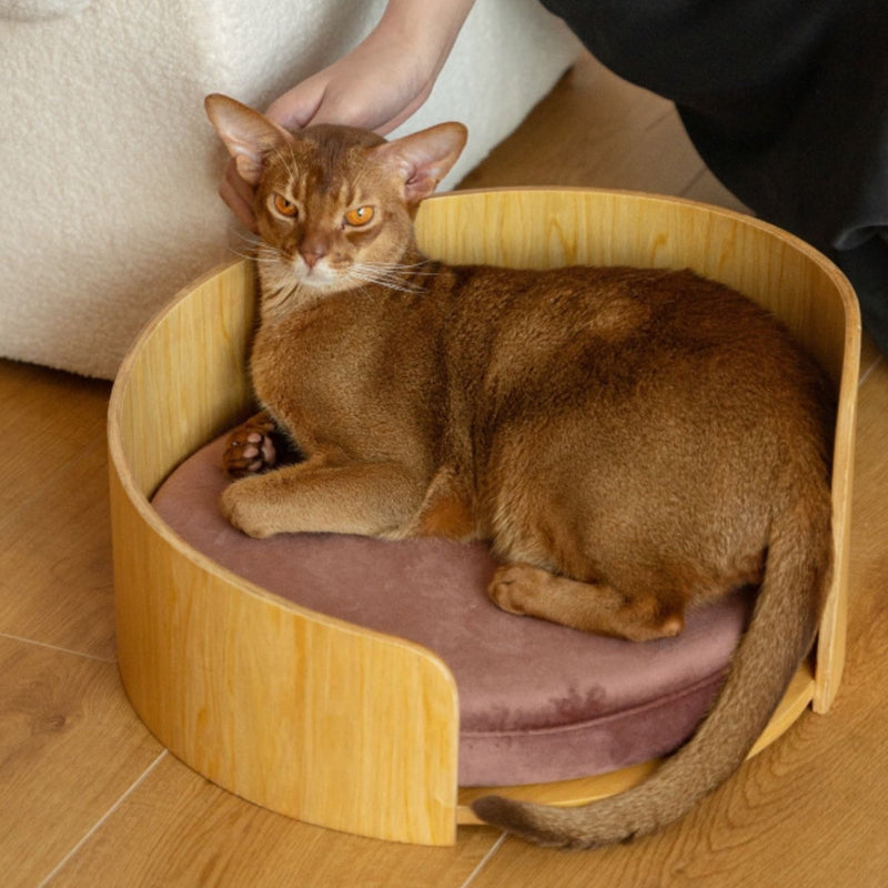 HKM-8962237 Solid Wood Cat Bed ¨C Removable Nest in Walnut Finish, 35x24cm & 50x24cm Sizes