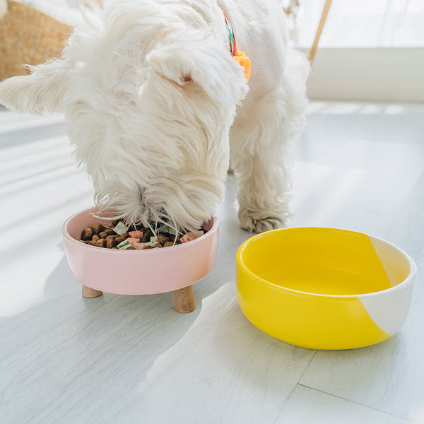 HKM-8962365 Ceramic Dog and Cat Bowl Set with Wooden Stand for Food and Water