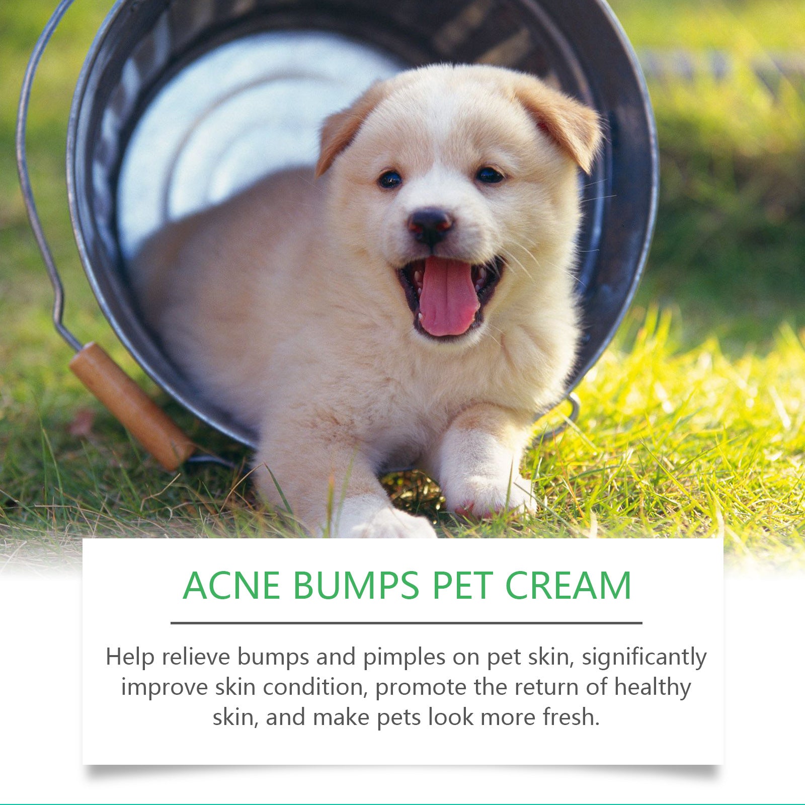 HKM-8981309 Pet Neck Cream for Healthy Skin and Coat, 25g with Aloe, Ginger, Tea Tree Oil, Marigold, and Ganoderma Extract