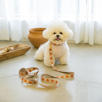 HKM-8983229 Soft and Durable Polyester Dog Traction Rope with Bear Design - 2M by 2.5cm