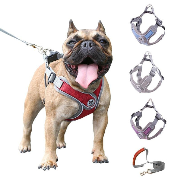 HKM-8988477 Nylon PET Strap Collars and Traction Rope for Small to Medium Dogs