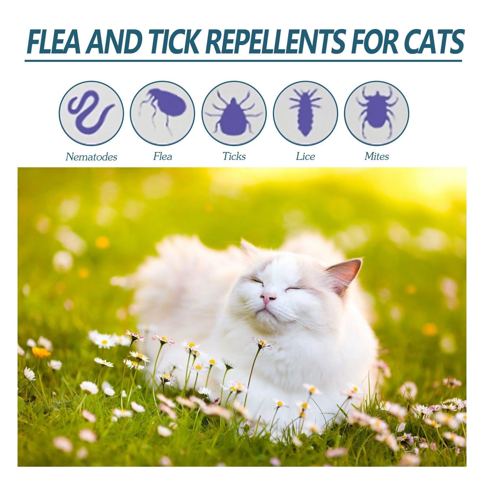HKM-8996541 Pet Anti-Flea and Tick Solution - 50ml with Natural Oils for Cats