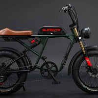 HKM-900819 Electric Mountain Bike with 750W Motor, 7-Speed Gears, 48V Lithium Battery, 20'' Wide Tires, and Disc Brakes