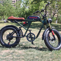 HKM-900819 Electric Mountain Bike with 750W Motor, 7-Speed Gears, 48V Lithium Battery, 20'' Wide Tires, and Disc Brakes