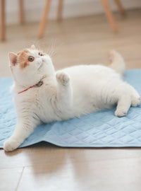 HKM-9008317 Cooling Ice Silk Pet Pad - Comfortable, Breathable Cushion for Dogs in S/M/L Sizes