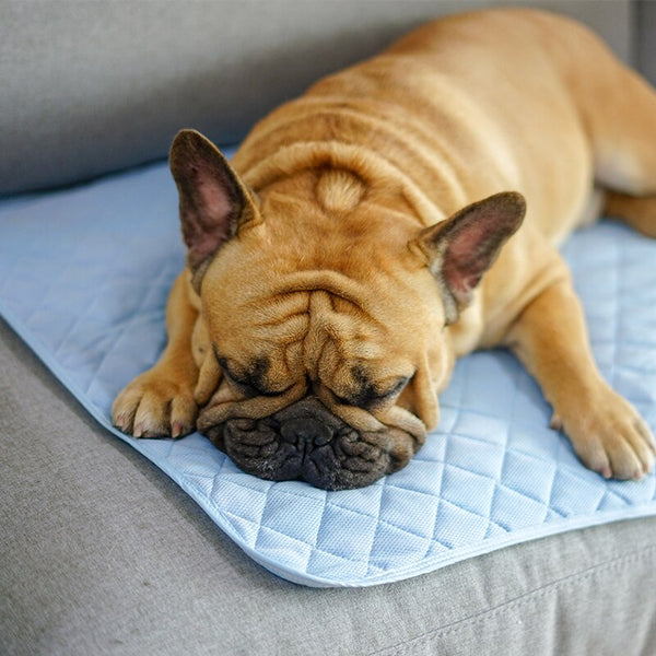 HKM-9008317 Cooling Ice Silk Pet Pad - Comfortable, Breathable Cushion for Dogs in S/M/L Sizes
