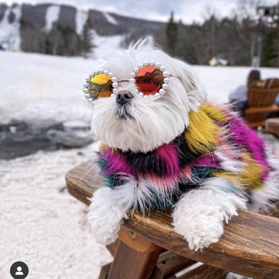 HKM-9011261 Pet Sunglasses for Cats and Dogs - Stylish Plastic Eye Protection in Small and Large Sizes
