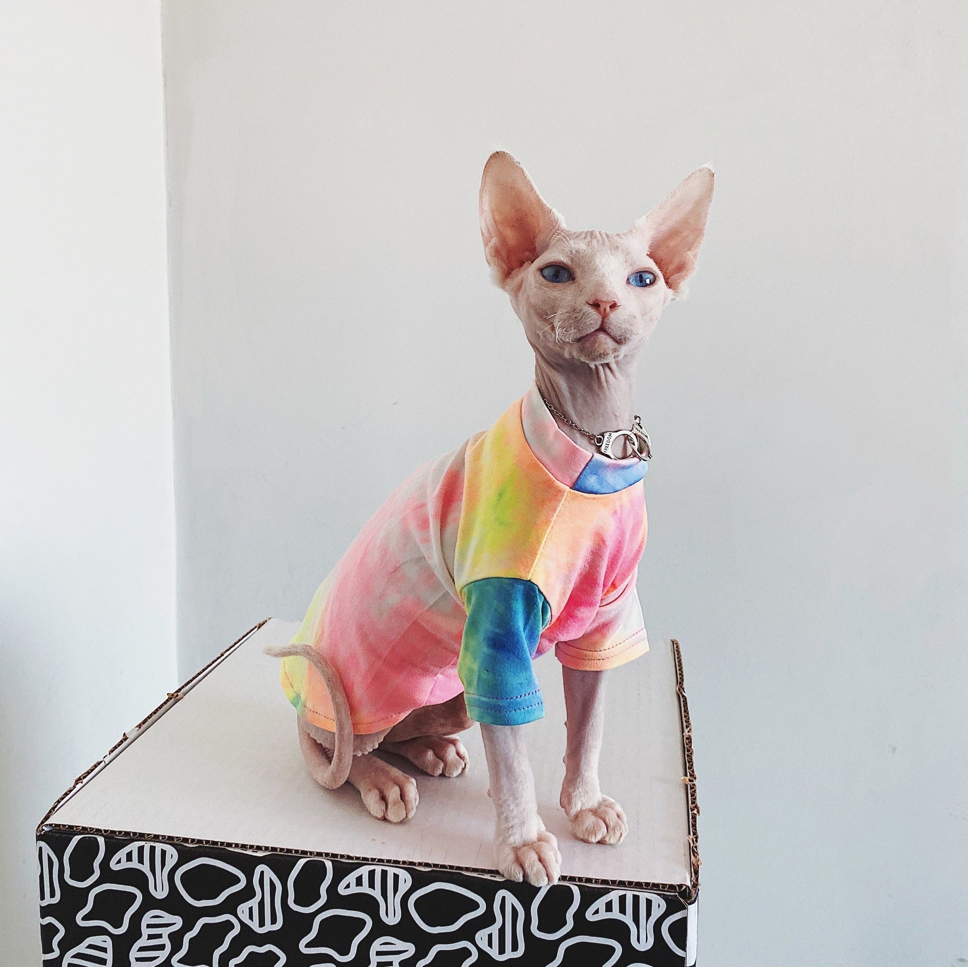 HKM-9012029 Casual Tie-Dye Rainbow Vest for Hairless Cats - Cotton Pet Clothes