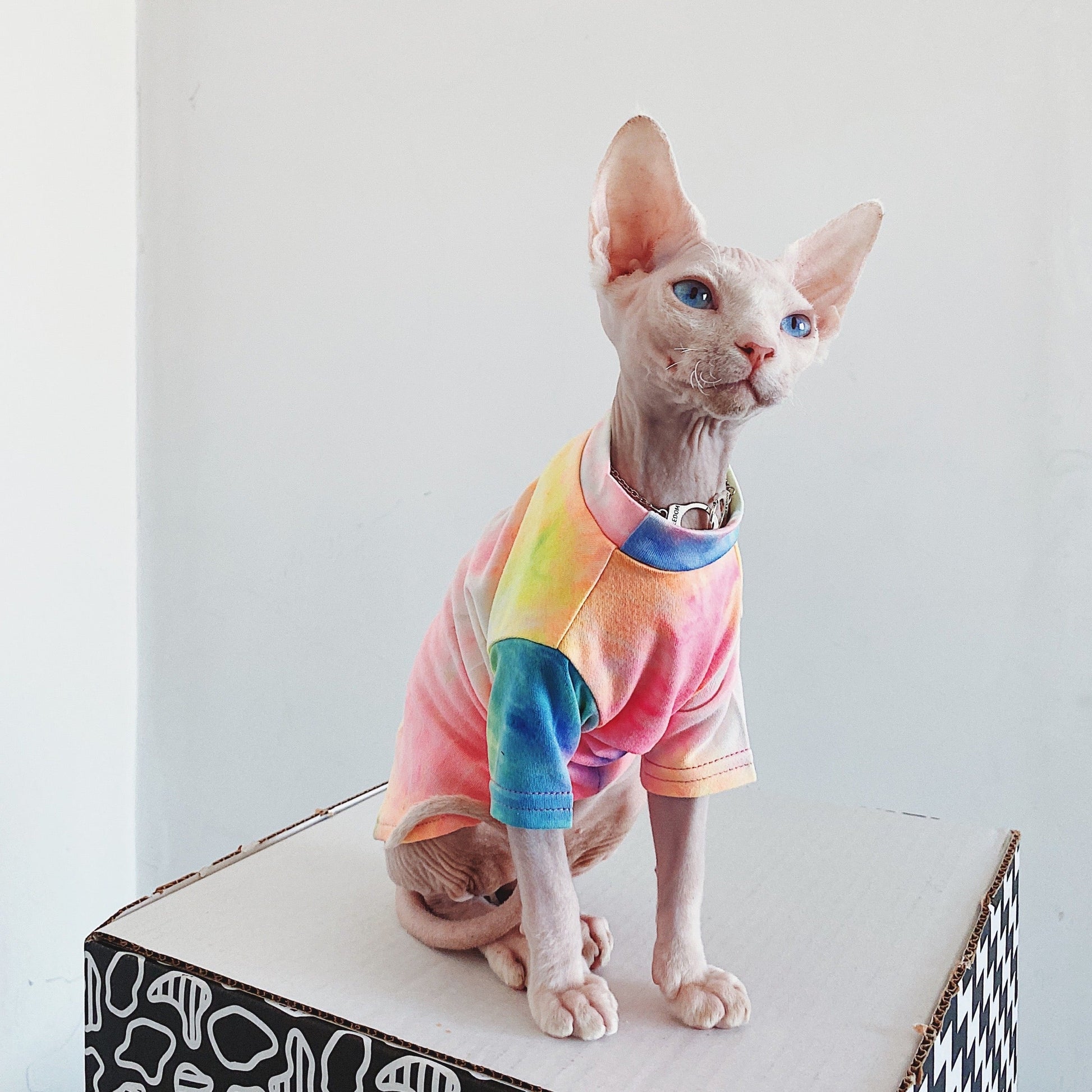 HKM-9012029 Casual Tie-Dye Rainbow Vest for Hairless Cats - Cotton Pet Clothes