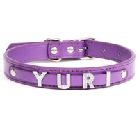HKM-9014205 Personalized PU Leather Pet Collar with Easy-Install Alloy Screws for Small and Medium Pets