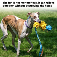 HKM-9014845 Interactive Bite-Resistant Cord Teether Pet Toy - Tug-of-War Design in Green, Orange, and Blue