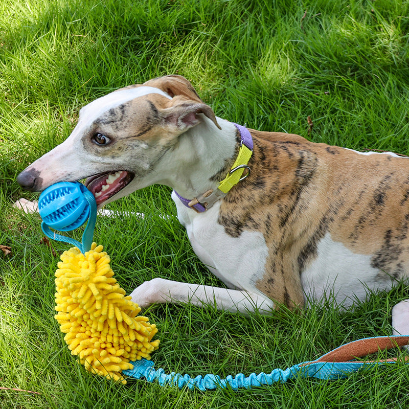 HKM-9014845 Interactive Bite-Resistant Cord Teether Pet Toy - Tug-of-War Design in Green, Orange, and Blue