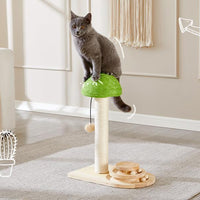 HKM-9017661 Interactive 2-in-1 Cat Scratching Post with Sisal Rope and Track Ball Toy
