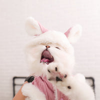 HKM-9018557 Cozy Polyester Fiber and Plush Kitten Clothes for British and American Shorthairs