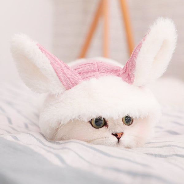 HKM-9018557 Cozy Polyester Fiber and Plush Kitten Clothes for British and American Shorthairs