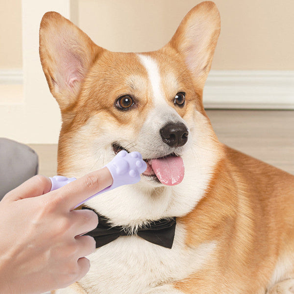 HKM-9019837 Finger Toothbrush for Small Dogs - Tooth Stain Removal - TPR Material - Pink, Yellow, Purple