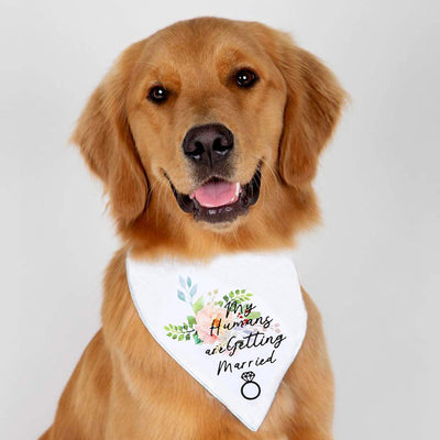 HKM-9025341 White Letter Pattern Scarf for Dogs - Polyester Neck Size 25-48CM, Suitable for All Seasons and Special Occasions