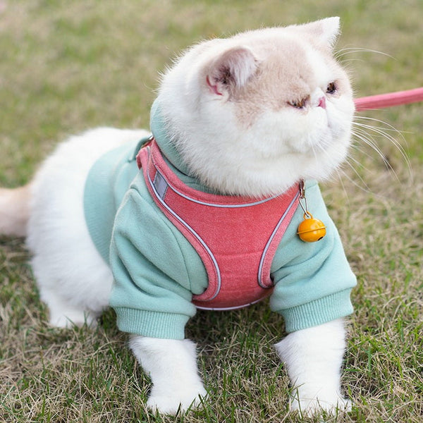 HKM-9027005 Stylish Cat Leash Vest Harness in Deerskin Velvet - Available in Multiple Colors and Sizes