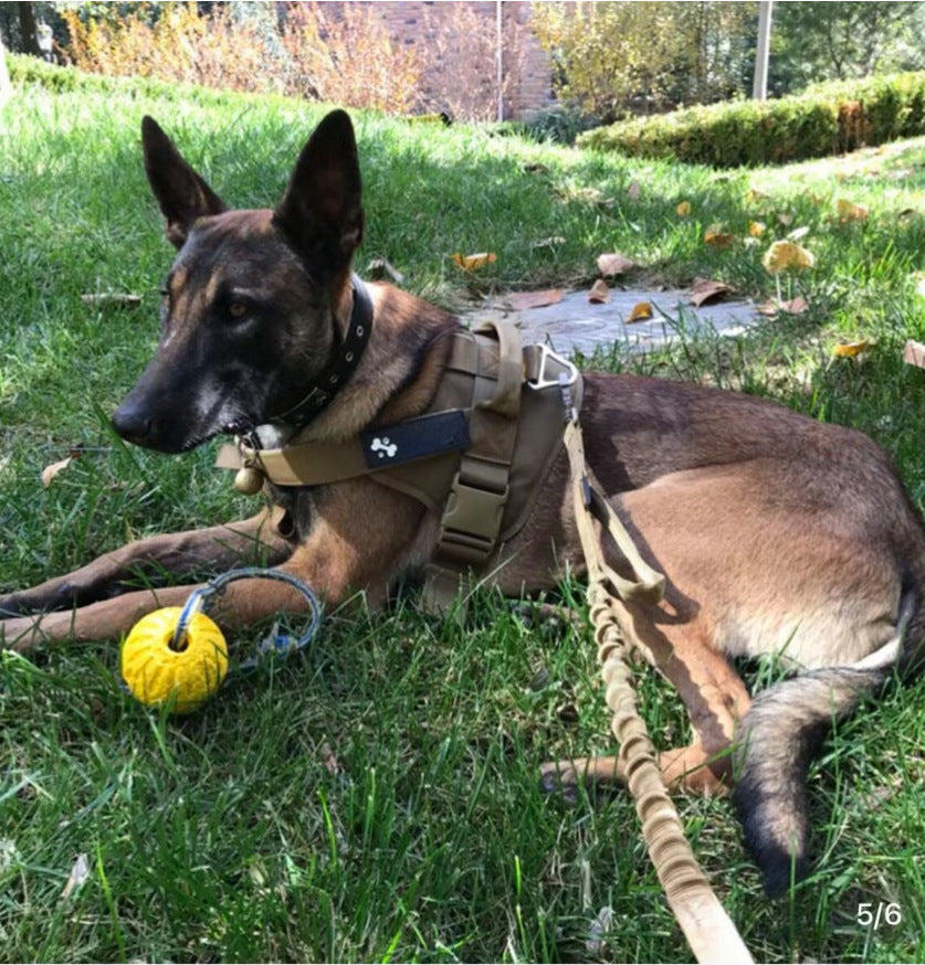 HKM-9033277 Adjustable Tactical Dog Leash and Collar Set for Medium and Large Dogs - Ideal for Walking and Training