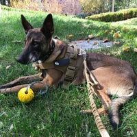 HKM-9033277 Adjustable Tactical Dog Leash and Collar Set for Medium and Large Dogs - Ideal for Walking and Training