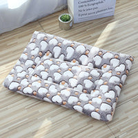 HKM-9035325 Cozy Coral Fleece Winter Pet Sleeping Pad with Various Fun Designs