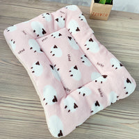 HKM-9035325 Cozy Coral Fleece Winter Pet Sleeping Pad with Various Fun Designs