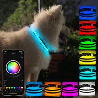 HKM-9035453 USB Rechargeable Shiny Black Dog Collar in Multiple Sizes