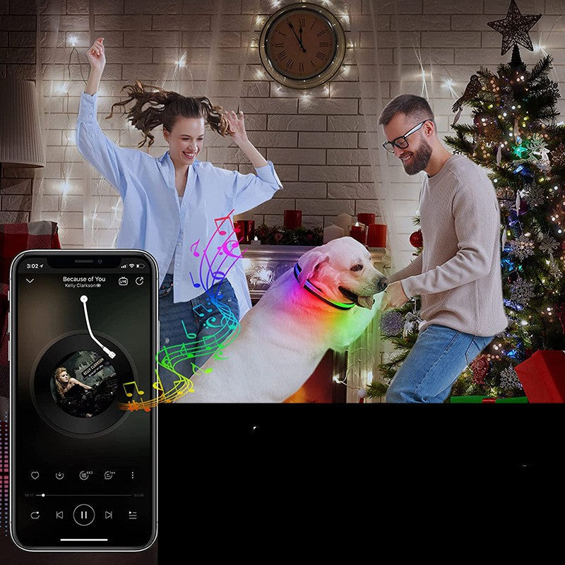 HKM-9035453 USB Rechargeable Shiny Black Dog Collar in Multiple Sizes