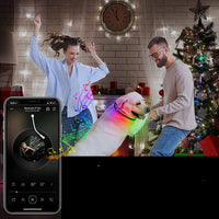 HKM-9035453 USB Rechargeable Shiny Black Dog Collar in Multiple Sizes