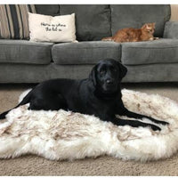 HKM-903571 Cozy Plush Pet Blanket for Sofa and Bed, Soft and Durable, Multiple Sizes Available