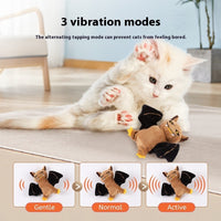 HKM-9046589 Rechargeable Plush Electric Cat Toy with Swinging Wings - Halloween Bat and Naughty Pumpkin Designs