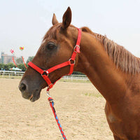HKM-9048765 Customizable Horse Bridle with Neoprene Lining ¨C Equestrian Headgear and Supplies