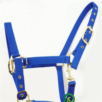 HKM-9048765 Customizable Horse Bridle with Neoprene Lining ¨C Equestrian Headgear and Supplies