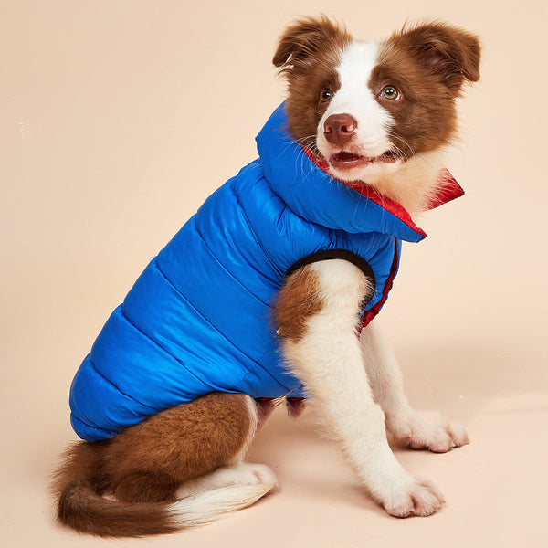 HKM-9049149 Winter Warm Down Cotton Dog Jacket - Casual Pet Clothing in Multiple Colors and Sizes