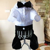 HKM-9051325 Stylish Black Bow Tie Suit Bib for Male Dogs - Sizes S to XXL