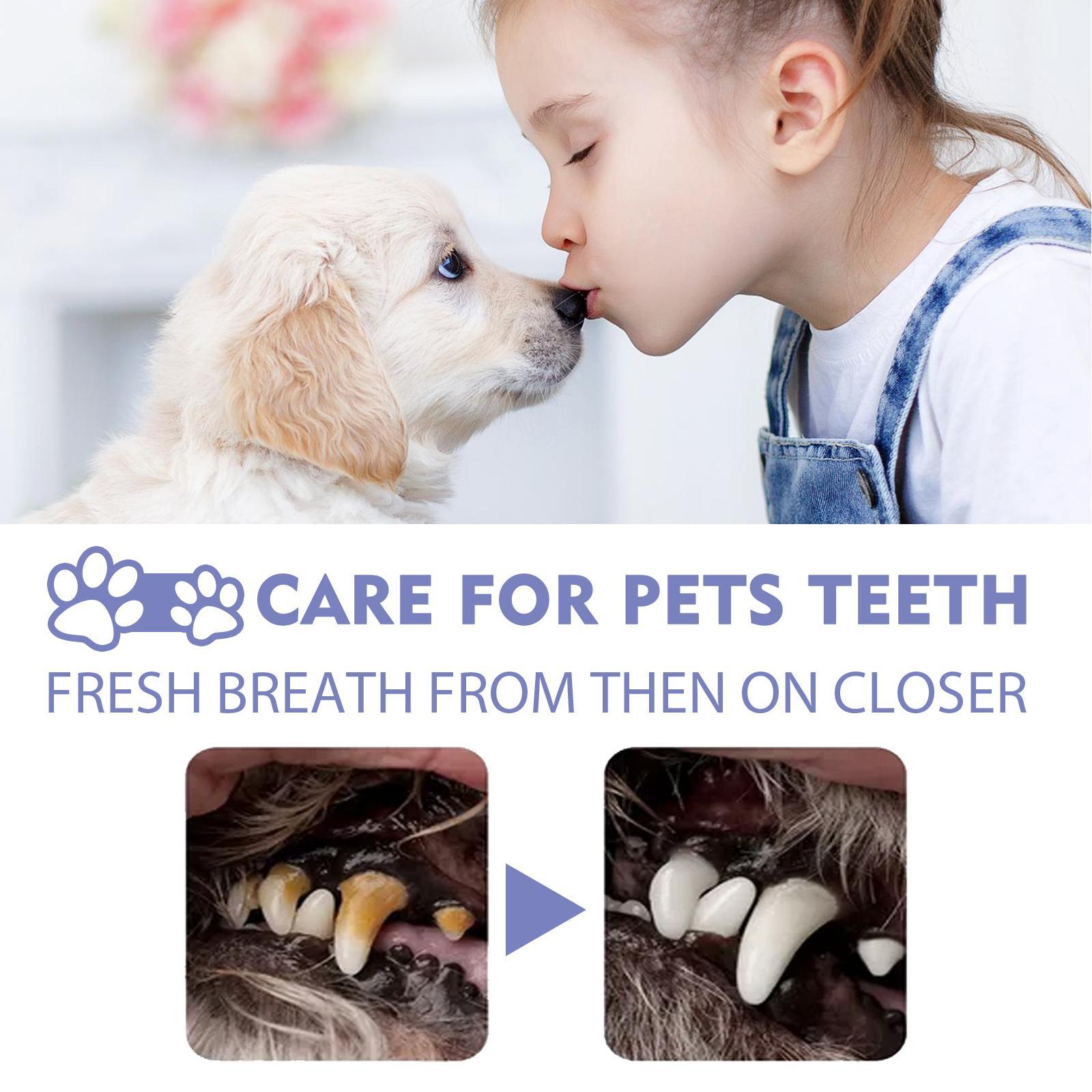 HKM-9052605 Pet Oral Cleaning Spray with Natural Tea, Licorice, and Mint Extracts for Fresh Breath and Gum Health