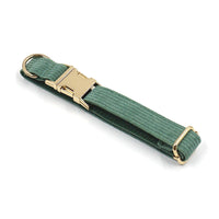 HKM-9056573 Duck Poop Green Striped Corduroy Dog Collar - Available in Multiple Sizes (XS to XL)