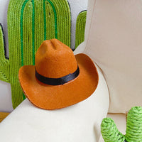 HKM-9058109 Brown Cowboy Hat with Triangle Scarf for Pets - Various Sizes Available
