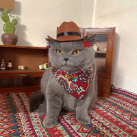 HKM-9058109 Brown Cowboy Hat with Triangle Scarf for Pets - Various Sizes Available