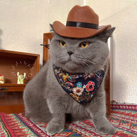 HKM-9058109 Brown Cowboy Hat with Triangle Scarf for Pets - Various Sizes Available
