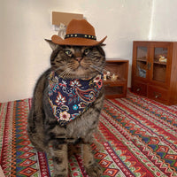 HKM-9058109 Brown Cowboy Hat with Triangle Scarf for Pets - Various Sizes Available