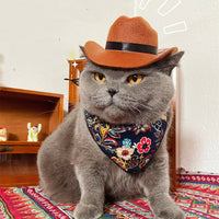 HKM-9058109 Brown Cowboy Hat with Triangle Scarf for Pets - Various Sizes Available