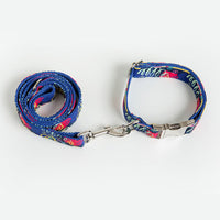 HKM-9066045 Graffiti Print Pet Collar and Leash Set in Blue for All Pets