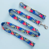 HKM-9066045 Graffiti Print Pet Collar and Leash Set in Blue for All Pets
