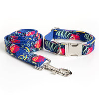 HKM-9066045 Graffiti Print Pet Collar and Leash Set in Blue for All Pets