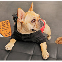 HKM-9076413 Cozy Padded Cotton Coat for Small Dogs – Casual Winter Wear in Black and Red