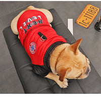HKM-9076413 Cozy Padded Cotton Coat for Small Dogs – Casual Winter Wear in Black and Red