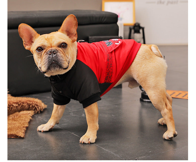 HKM-9076413 Cozy Padded Cotton Coat for Small Dogs – Casual Winter Wear in Black and Red